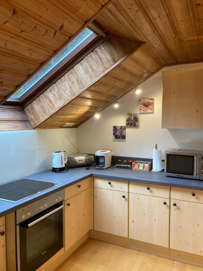 Apartment Stadler Obertraun Exteriör bild