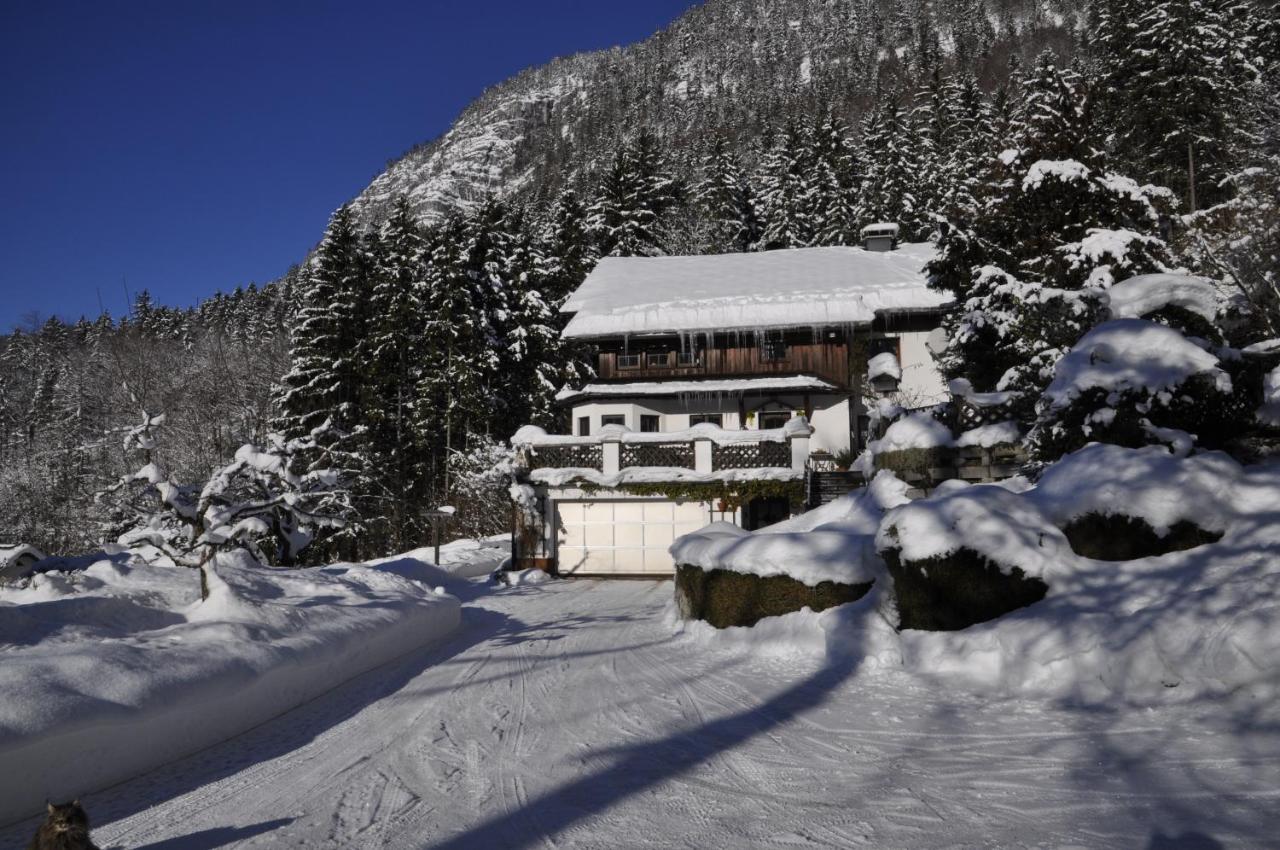 Apartment Stadler Obertraun Exteriör bild